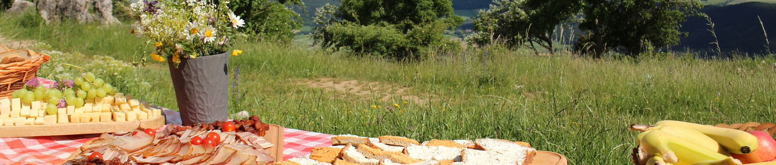     A organic picnic on the culinary hiketrail "Hohe Wand" 
